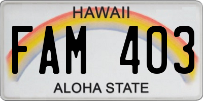 HI license plate FAM403