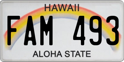 HI license plate FAM493