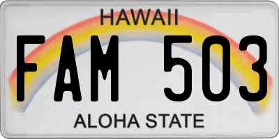 HI license plate FAM503