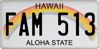 HI license plate FAM513
