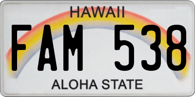 HI license plate FAM538