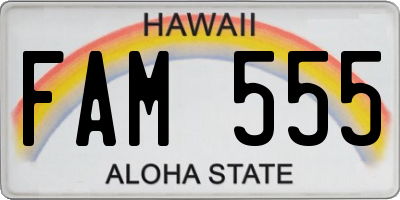 HI license plate FAM555