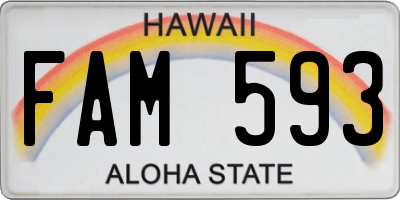 HI license plate FAM593