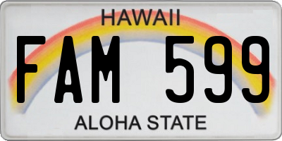 HI license plate FAM599