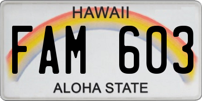 HI license plate FAM603