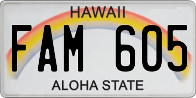 HI license plate FAM605