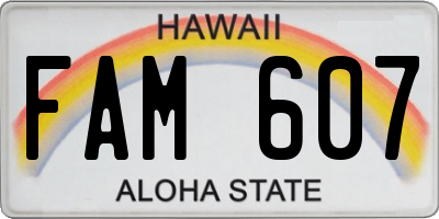 HI license plate FAM607