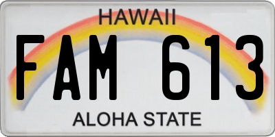 HI license plate FAM613