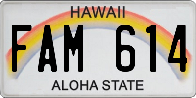 HI license plate FAM614