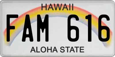 HI license plate FAM616