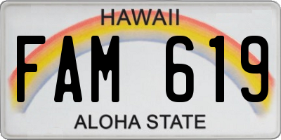 HI license plate FAM619