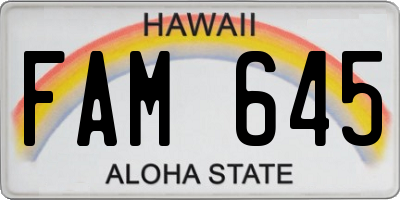 HI license plate FAM645