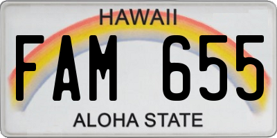 HI license plate FAM655