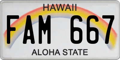 HI license plate FAM667