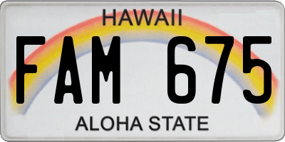 HI license plate FAM675
