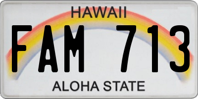 HI license plate FAM713