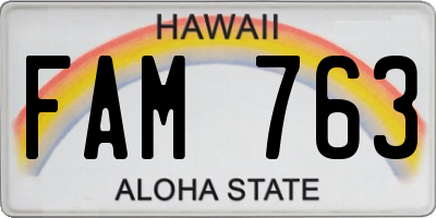 HI license plate FAM763