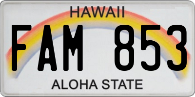 HI license plate FAM853