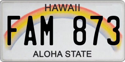HI license plate FAM873