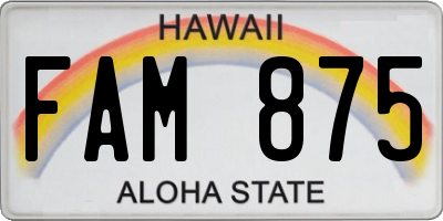 HI license plate FAM875
