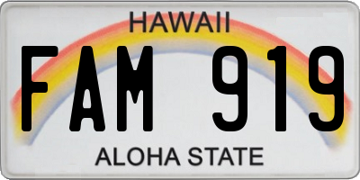HI license plate FAM919