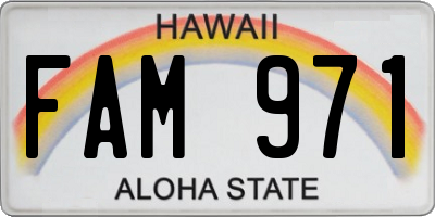 HI license plate FAM971