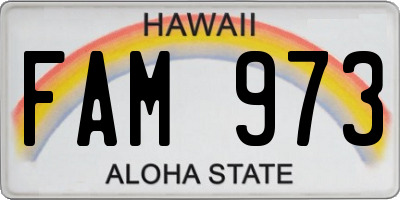 HI license plate FAM973