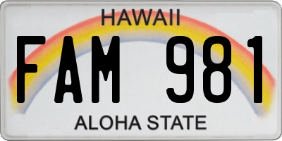 HI license plate FAM981