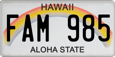 HI license plate FAM985