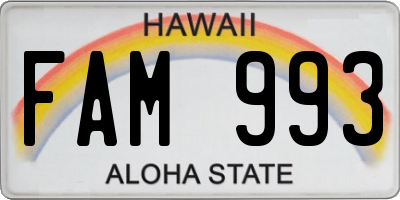 HI license plate FAM993