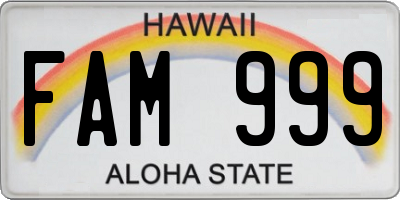 HI license plate FAM999