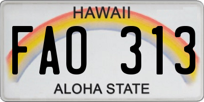 HI license plate FAO313