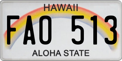 HI license plate FAO513