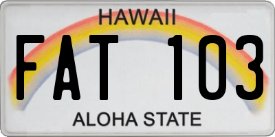HI license plate FAT103