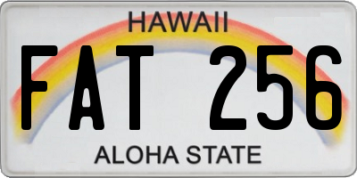 HI license plate FAT256