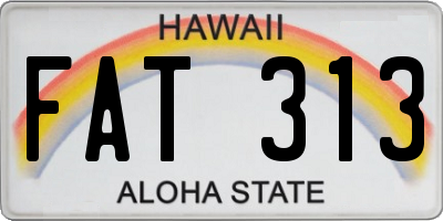 HI license plate FAT313