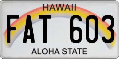 HI license plate FAT603