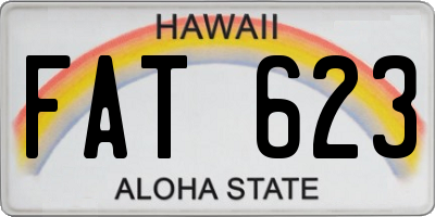 HI license plate FAT623