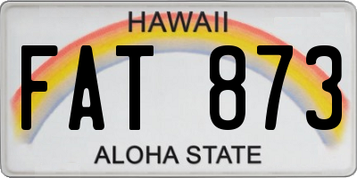 HI license plate FAT873