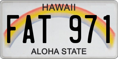 HI license plate FAT971