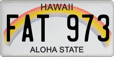 HI license plate FAT973