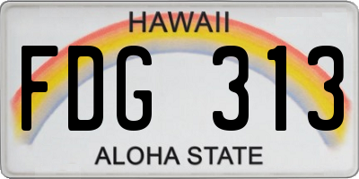 HI license plate FDG313