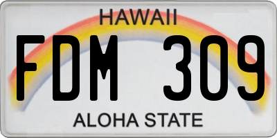 HI license plate FDM309