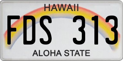 HI license plate FDS313