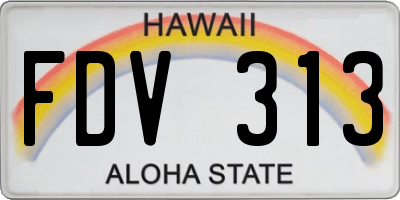 HI license plate FDV313