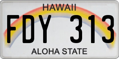 HI license plate FDY313