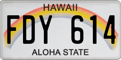 HI license plate FDY614