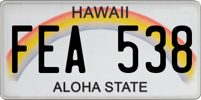 HI license plate FEA538