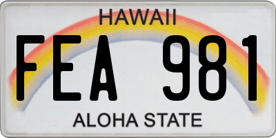 HI license plate FEA981