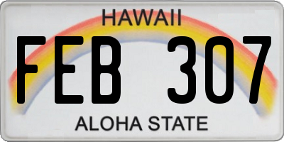 HI license plate FEB307